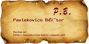 Pavlekovics Bátor névjegykártya